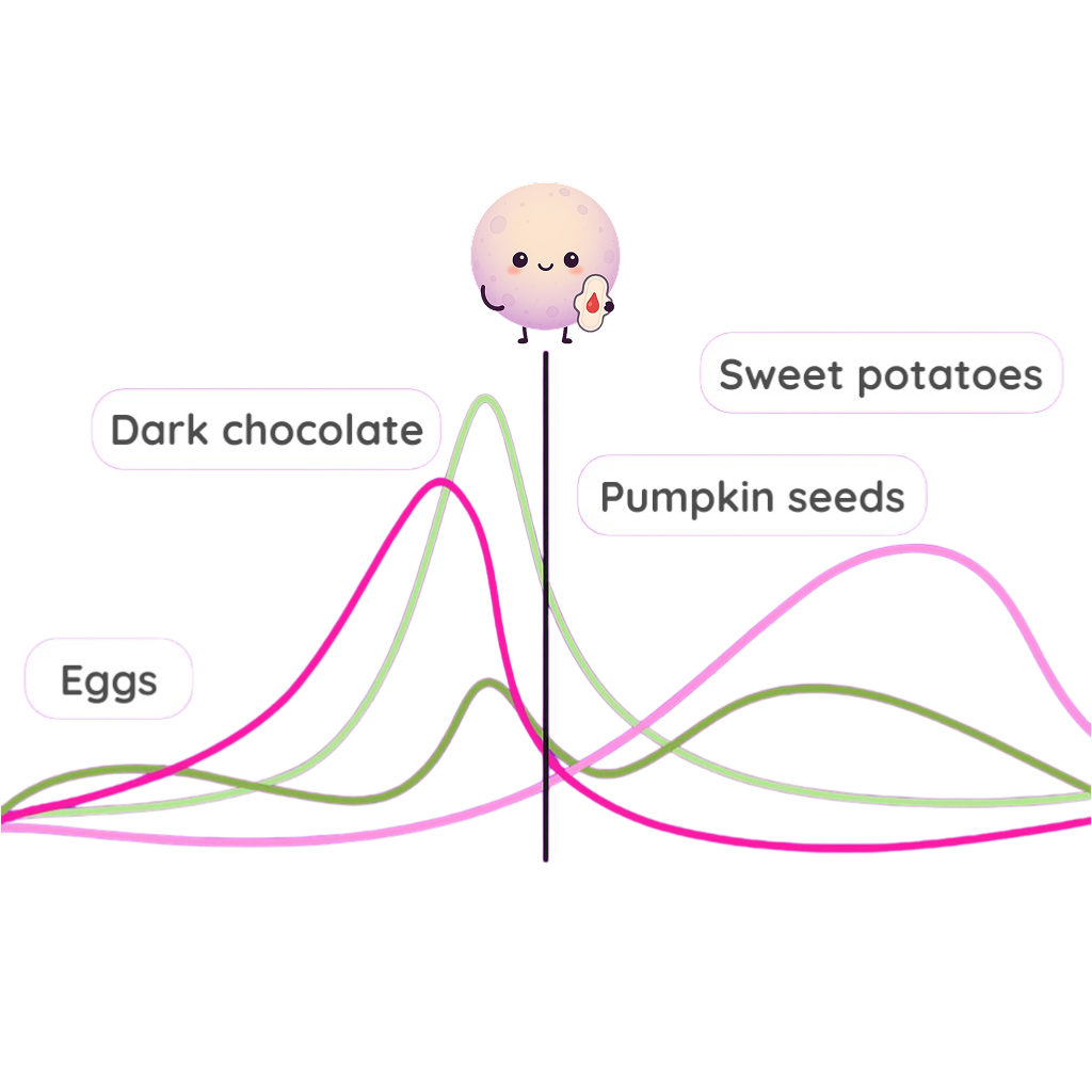 Cycle Phases