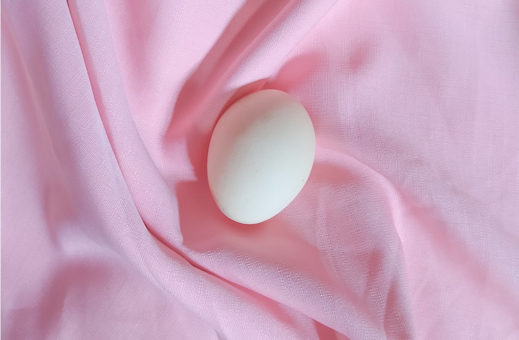 Single egg on soft pink fabric symbolizing ovulation and fertility